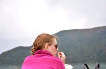 Best view hunting tour