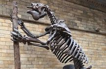 London Natural History Museum Private Tour for Kids & Families