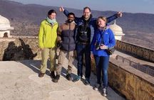 3 days private tour in Alwar, with National Park Safari