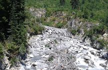 Mt Rainier Private Tour Experience in SUV