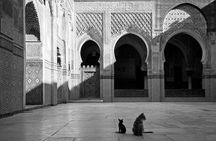 Marrakech Full Day Private Tour