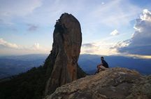 The Brazilian Switzerland - Full Day Trip on Campos do Jordão from São Paulo
