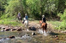 Jungle HorseBack Adventure to Las Palmas Waterfall All Included 