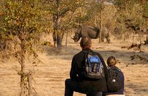Rhino Walking Safari in the Musi Otunya National Park