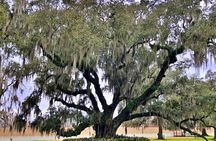 Highlights of New Orleans City and Destrahan Plantation Tour
