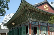 VIP Private Seoul City Tour