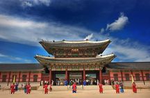 VIP Private Seoul City Tour