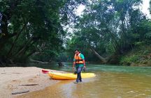 Terengganu Wildlife Kayak Tour