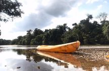 Terengganu Wildlife Kayak Tour
