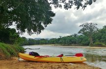 Terengganu Wildlife Kayak Tour