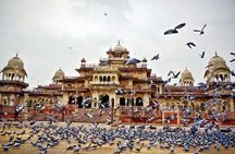 Full-Day Private Tour Heritage of Jaipur with Amber Fort