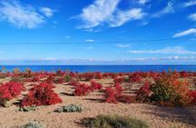 Marvellous 3 days around Issyk-Kul lake 