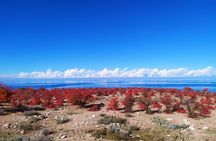 Marvellous 3 days around Issyk-Kul lake 