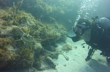 SCUBA Dive Key Largo Reef (min 6 divers)