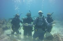 SCUBA Dive Key Largo Reef (min 6 divers)