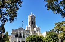 The best of Auckland city walking tour 