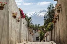 Afternoon : Arequipa Walking tour