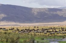 Tarangire & Ngorongoro Exclusive Safari