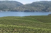 Whitewater and Wine: Wenatchee River Whitewater Rafting and Winery Tour 