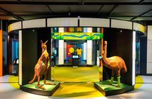 MCG Tour & Australian Sports Museum
