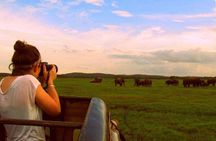 Yala Safari (5 Days, 4 Nights)