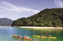 Split Apple Paddle Guided Kayak - Nelson