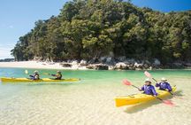 Split Apple Paddle Guided Kayak - Nelson