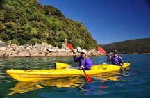 Split Apple Paddle Guided Kayak - Nelson