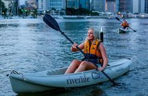Brisbane City Twilight Kayak