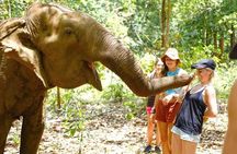 3 Days Jungle Trek in Virachey Forest