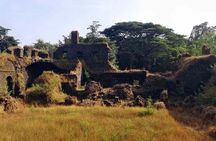 Explore Goa in a Nutshell