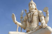 Glimpses of Wildlife & Footstep of Gandhi Gujarat Tour (10 Days)