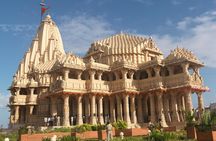Glimpses of Wildlife & Footstep of Gandhi Gujarat Tour (10 Days)