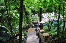 Day Trip from San Jose to Arenal Hanging Bridges & Tabacon Hot Springs 