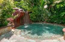Arenal Volcano & Baldi Hot Springs one day tour from San Jose