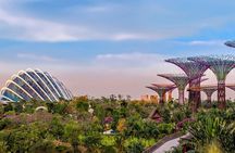 Sands SkyPark+Gardens by the Bay(FlowerDome&CloudForest)Transfers
