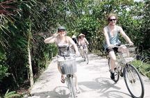 From Saigon: Non-Touristy Mekong Delta with Countryside Biking