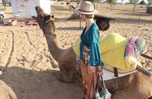 Full-Day Desert Safari with Jodhpur Heritage
