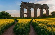 Exclusive Rome Explorer: Personalized Tour & Chauffeur