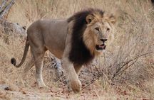 Makgadkgadi pans - Central Kalahari Adventure 7 Nights/ 8 Days
