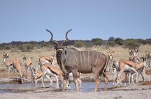 Makgadkgadi pans - Central Kalahari Adventure 7 Nights/ 8 Days