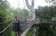 Visit Slave Dungeons (Elmina & Cape Coast) & Canopy Walk + Lunch