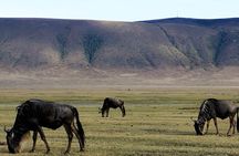 6 Days - Best of Nothern Parks Safari