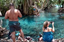 Kikuletwa Hotspring Day Tour