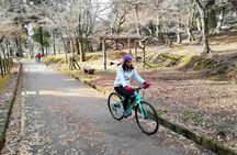 Nara - Private Family Bike Tour