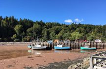Bay of Fundy Tour by Bus