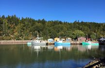 Bay of Fundy Tour by Bus