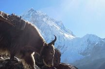 16 Days Everest Base Camp Trek