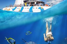Catamaran Snorkeling All-Inclusive Day-Trip