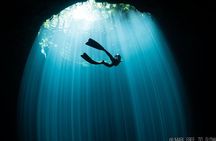 Try Freediving